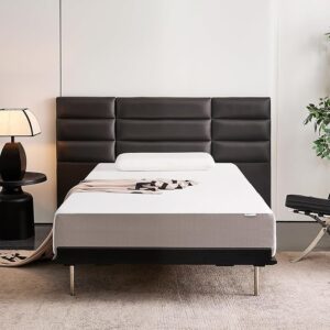 Basics Memory Foam Mattress, Soft Plush Feel, 10 Inch, Full, White/Grey